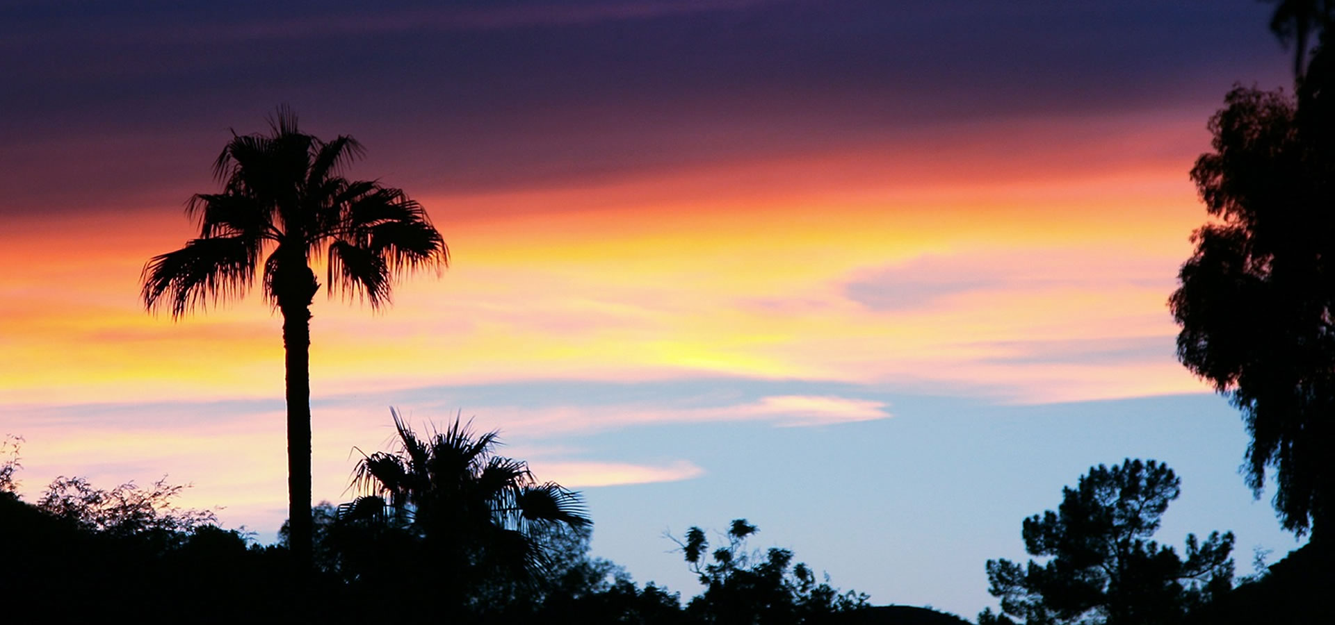 Alliance Header Background