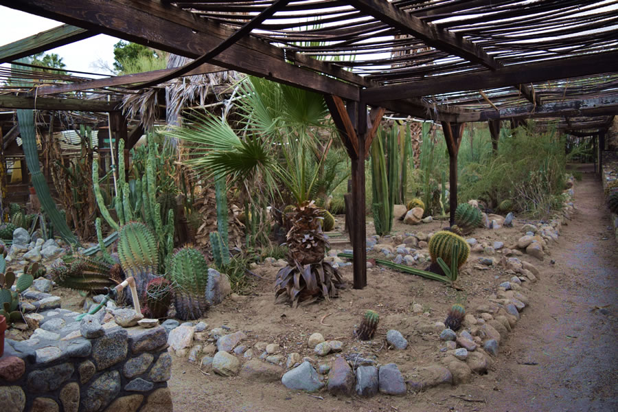 Desert Botanical Garden Film Palm Springs