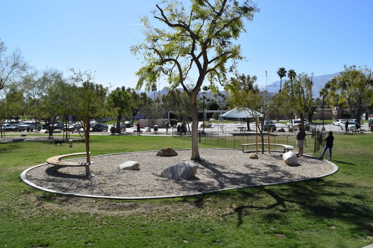 Film Friendly Dog Park in Palm Springs | Film Palm Springs